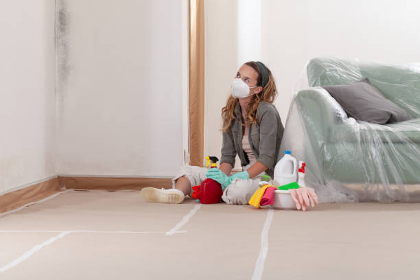 Reliable Mold Remediation contractor in Leander, TX by WQB Mold Removal
